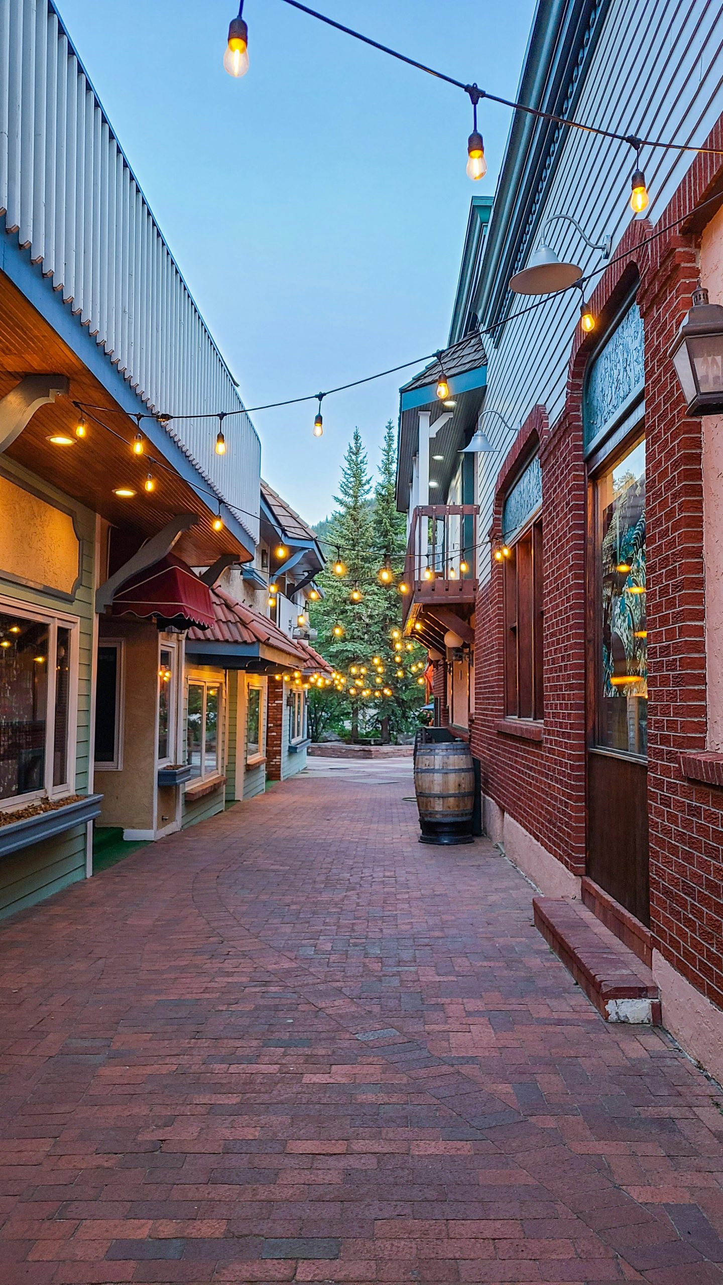 estes park downtown vertical