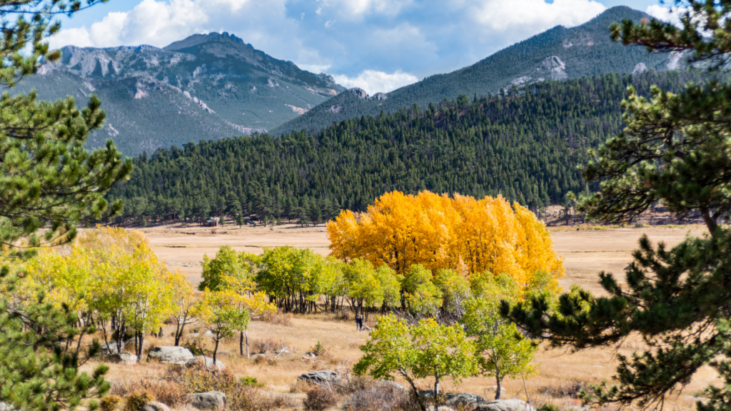 Estes Pak Autumn Gold Festival
